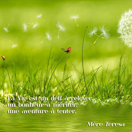 Citation CoEvolutio