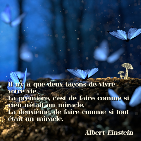 Citation CoEvolutio