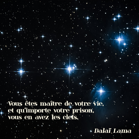 Citation CoEvolutio