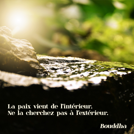 Citation CoEvolutio