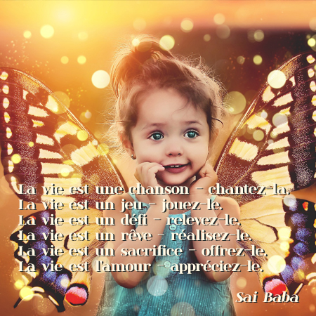 Citation CoEvolutio