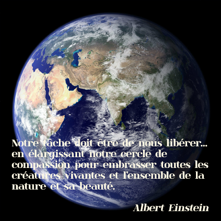 Citation CoEvolutio