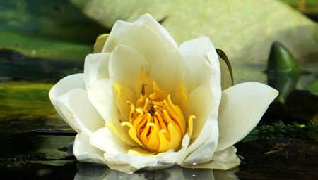 Méditation Méditation